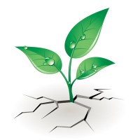 Plant-it Green logo, Plant-it Green contact details