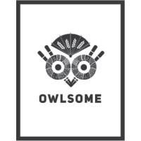 Owlsome Group Ltd. logo, Owlsome Group Ltd. contact details