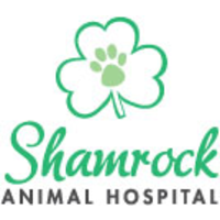 Shamrock Animal Health Inc. logo, Shamrock Animal Health Inc. contact details