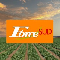 FORCE SUD logo, FORCE SUD contact details