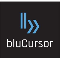 bluCursor Infotech Pvt Ltd logo, bluCursor Infotech Pvt Ltd contact details