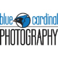 Blue Cardinal Photography logo, Blue Cardinal Photography contact details