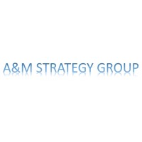 A&M Strategy Group, LLC logo, A&M Strategy Group, LLC contact details