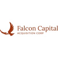 Falcon Equity Investors logo, Falcon Equity Investors contact details