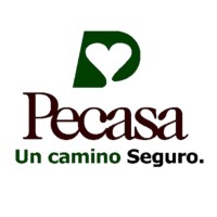 Servicios Pecasa Agente de Seguros logo, Servicios Pecasa Agente de Seguros contact details