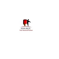 Assurex e-Consultants logo, Assurex e-Consultants contact details