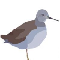 Sandpiper Coaching logo, Sandpiper Coaching contact details