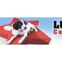 Lucky Stars Country Kennels logo, Lucky Stars Country Kennels contact details