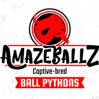 AmazeBallz, LLC. logo, AmazeBallz, LLC. contact details