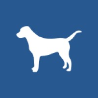 Blue Dog SF logo, Blue Dog SF contact details