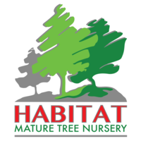 Habitat Mature Tree Nursery logo, Habitat Mature Tree Nursery contact details