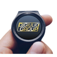 DiGiulio Group Real Estate logo, DiGiulio Group Real Estate contact details