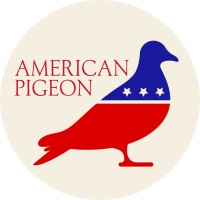 American Pigeon logo, American Pigeon contact details