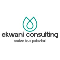 Ekwani Consulting LLC logo, Ekwani Consulting LLC contact details