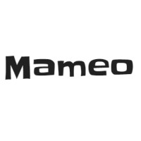 Mameo Solutions Group Inc. logo, Mameo Solutions Group Inc. contact details