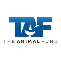 TAF -The Animal Fund logo, TAF -The Animal Fund contact details