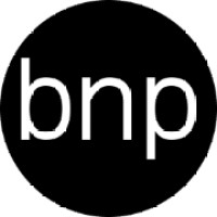 bnpWebDesigns logo, bnpWebDesigns contact details