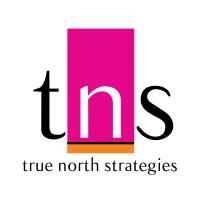 True North Strategies logo, True North Strategies contact details