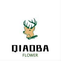 Qiaoba logo, Qiaoba contact details