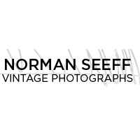 Norman Seeff Vintage Photographs logo, Norman Seeff Vintage Photographs contact details