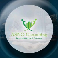 ASNO Consulting logo, ASNO Consulting contact details