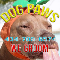 Dog Paws Pet Grooming logo, Dog Paws Pet Grooming contact details