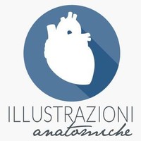 Medical Illustration logo, Medical Illustration contact details