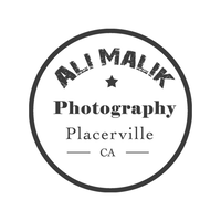 Ali Malik Photography logo, Ali Malik Photography contact details