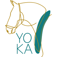 Yoka México logo, Yoka México contact details