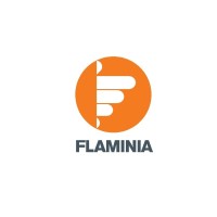 Flaminia Ltd logo, Flaminia Ltd contact details