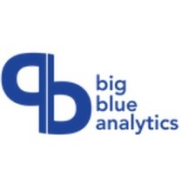 Big Blue Analytics LLC logo, Big Blue Analytics LLC contact details