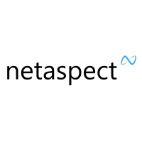 Netaspect Software BV logo, Netaspect Software BV contact details