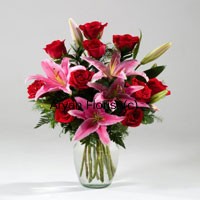 Aryan Florist - India logo, Aryan Florist - India contact details