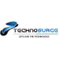 TechnoSurge, Inc. logo, TechnoSurge, Inc. contact details