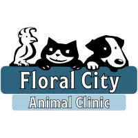 Floral City Animal Clinic logo, Floral City Animal Clinic contact details