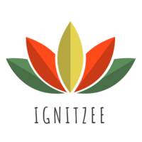 Ignitzee | Technology Transformation Specialists logo, Ignitzee | Technology Transformation Specialists contact details