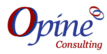 Opine Consulting logo, Opine Consulting contact details