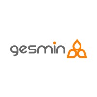 Gesmin SRL logo, Gesmin SRL contact details