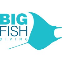 Big Fish Diving logo, Big Fish Diving contact details