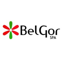 Belgor SpA logo, Belgor SpA contact details