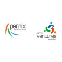 Pernix Solutions logo, Pernix Solutions contact details