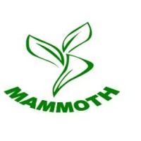 Mammoth Services logo, Mammoth Services contact details