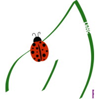 Ladybug Nutrition Counseling, LLC logo, Ladybug Nutrition Counseling, LLC contact details