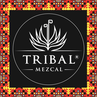 Mezcal Tribal logo, Mezcal Tribal contact details