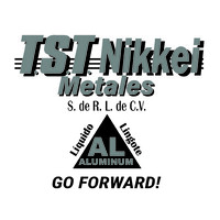 TST NIKKEI METALES S RL DE CV logo, TST NIKKEI METALES S RL DE CV contact details