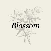 Blossom Lash Esthetics logo, Blossom Lash Esthetics contact details