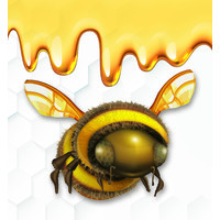 SWEET DIGITAL NECTAR, LLC logo, SWEET DIGITAL NECTAR, LLC contact details