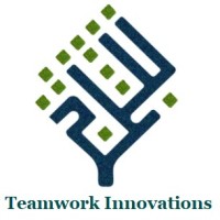 Teamwork Innovations Pvt Ltd logo, Teamwork Innovations Pvt Ltd contact details