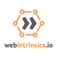 webintrinsics.io logo, webintrinsics.io contact details