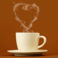 Coffee Lovers logo, Coffee Lovers contact details